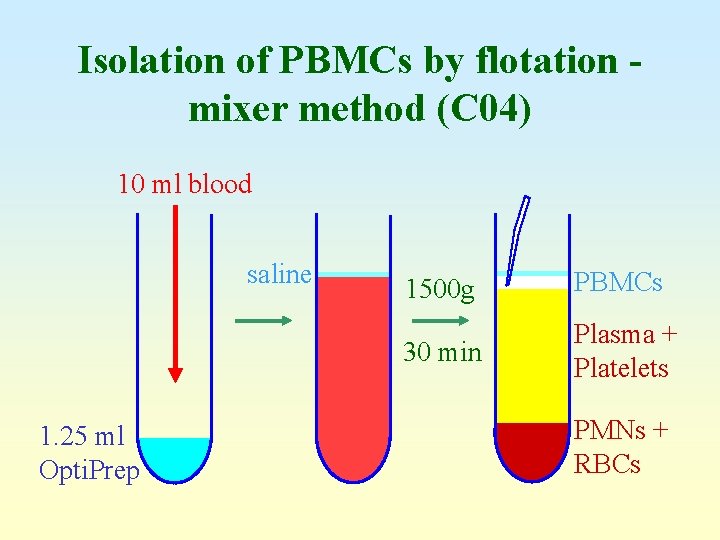 Isolation of PBMCs by flotation mixer method (C 04) 10 ml blood saline 1.