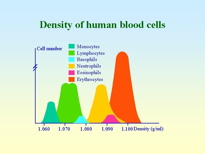 Density of human blood cells Cell number 1. 060 1. 070 Monocytes Lymphocytes Basophils