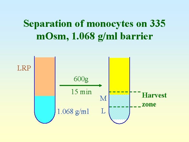 Separation of monocytes on 335 m. Osm, 1. 068 g/ml barrier LRP 600 g