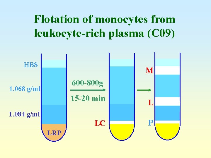 Flotation of monocytes from leukocyte-rich plasma (C 09) HBS M 600 -800 g 1.