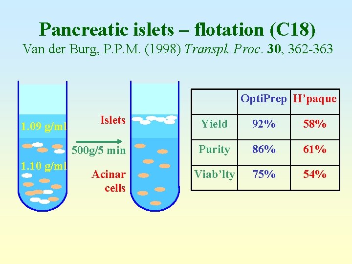 Pancreatic islets – flotation (C 18) Van der Burg, P. P. M. (1998) Transpl.
