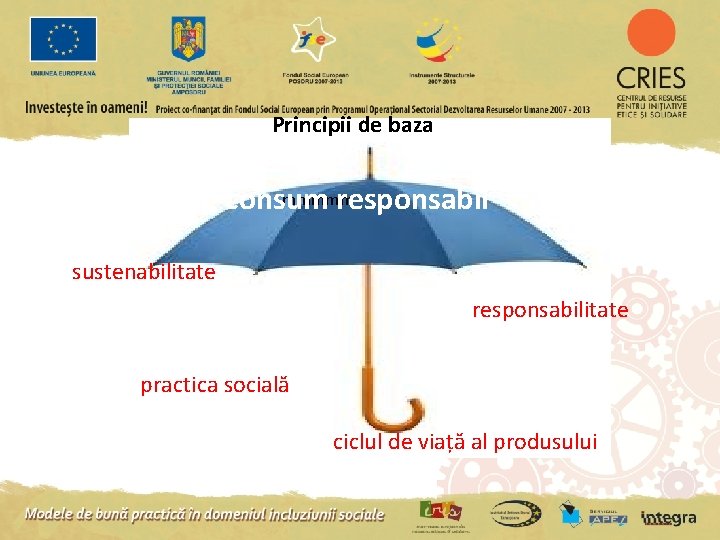 Principii de baza mmmmm consum responsabil sustenabilitate responsabilitate practica socială ciclul de viață al