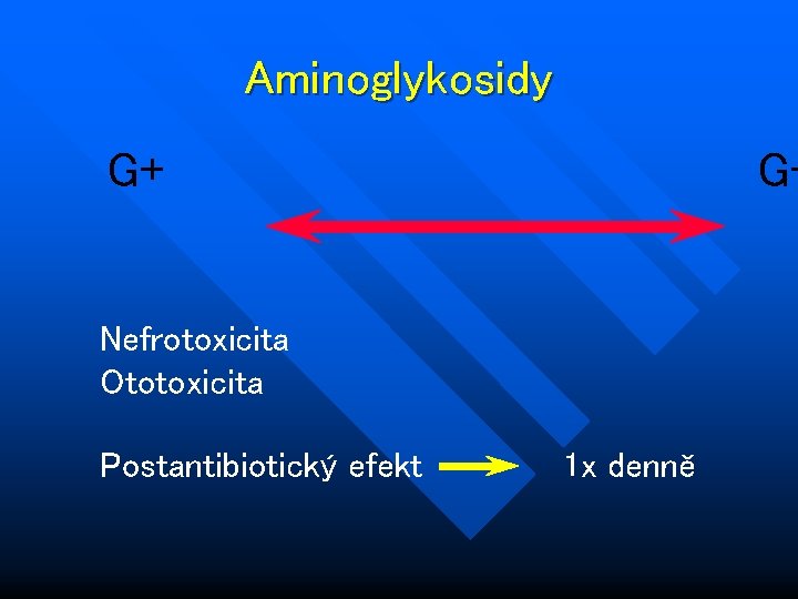 Aminoglykosidy G+ G- Nefrotoxicita Ototoxicita Postantibiotický efekt 1 x denně 