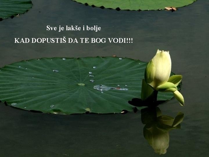 Sve je lakše i bolje KAD DOPUSTIŠ DA TE BOG VODI!!! 