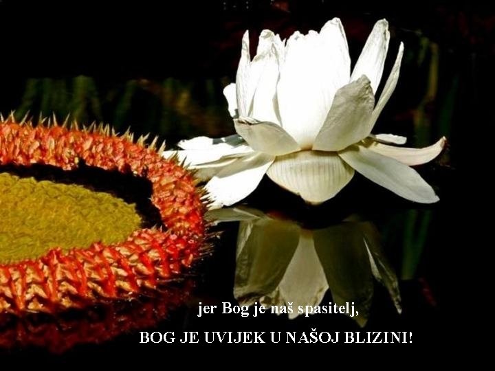 jer Bog je naš spasitelj, BOG JE UVIJEK U NAŠOJ BLIZINI! 