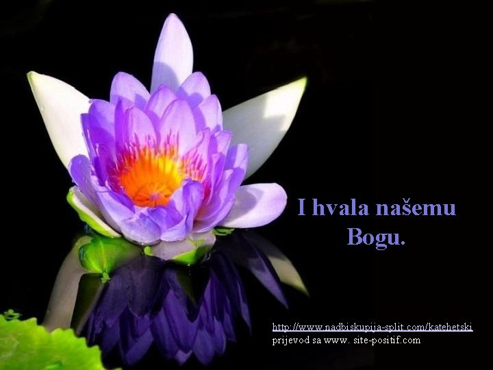 I hvala našemu Bogu. http: //www. nadbiskupija-split. com/katehetski prijevod sa www. site-positif. com 