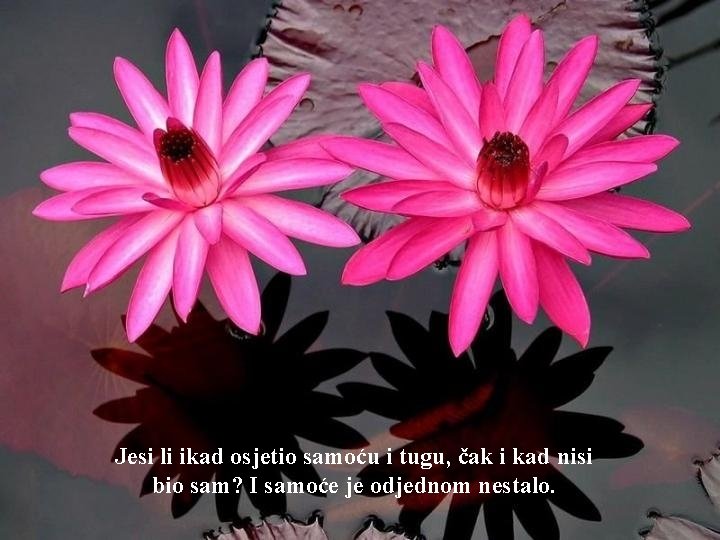 Jesi li ikad osjetio samoću i tugu, čak i kad nisi bio sam? I