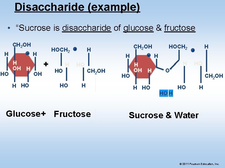 Disaccharide (example) • “Sucrose is disaccharide of glucose & fructose CH 2 OH H