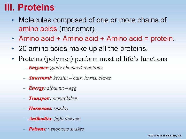 III. Proteins • Molecules composed of one or more chains of amino acids (monomer).