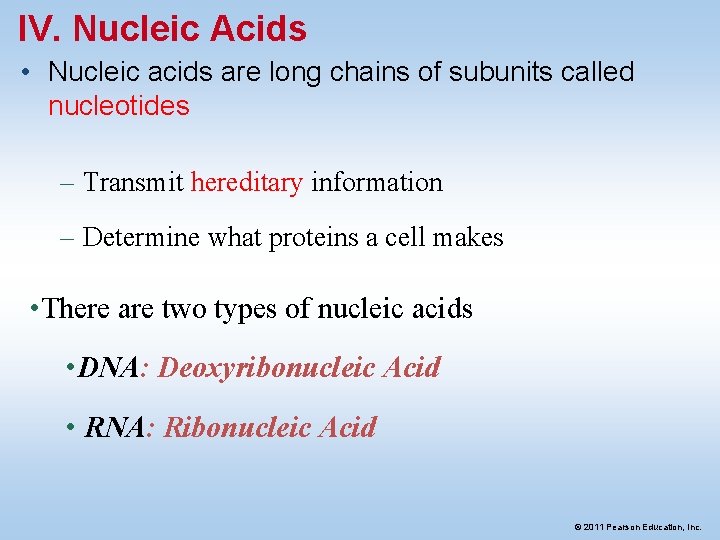 IV. Nucleic Acids • Nucleic acids are long chains of subunits called nucleotides –