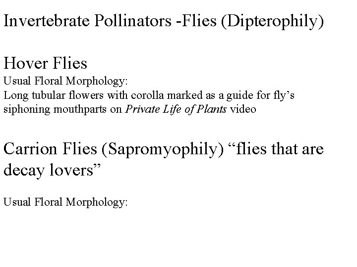 Invertebrate Pollinators -Flies (Dipterophily) Hover Flies Usual Floral Morphology: Long tubular flowers with corolla