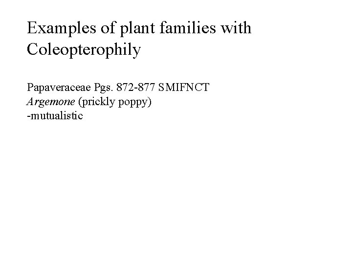 Examples of plant families with Coleopterophily Papaveraceae Pgs. 872 -877 SMIFNCT Argemone (prickly poppy)