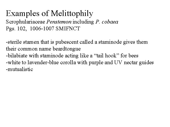 Examples of Melittophily Scrophulariaceae Penstemon including P. cobaea Pgs. 102, 1006 -1007 SMIFNCT -sterile