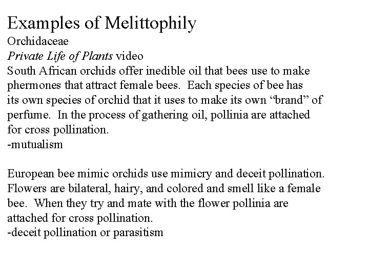 Examples of Melittophily Orchidaceae Private Life of Plants video South African orchids offer inedible