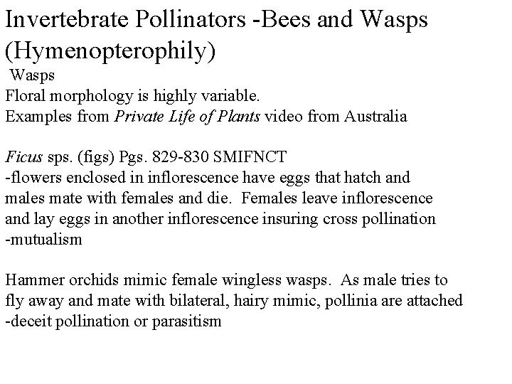 Invertebrate Pollinators -Bees and Wasps (Hymenopterophily) Wasps Floral morphology is highly variable. Examples from