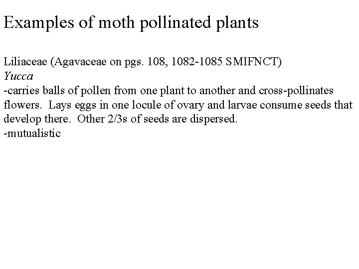 Examples of moth pollinated plants Liliaceae (Agavaceae on pgs. 108, 1082 -1085 SMIFNCT) Yucca