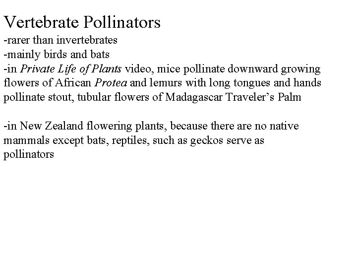 Vertebrate Pollinators -rarer than invertebrates -mainly birds and bats -in Private Life of Plants