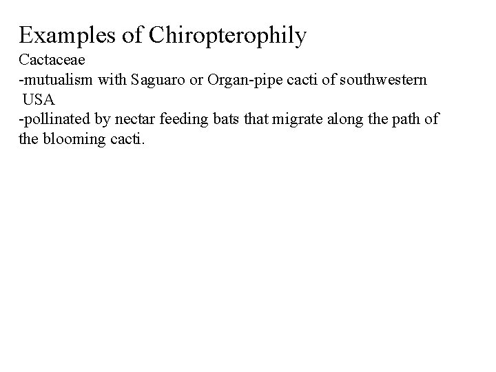 Examples of Chiropterophily Cactaceae -mutualism with Saguaro or Organ-pipe cacti of southwestern USA -pollinated