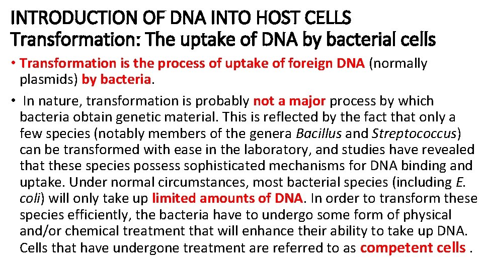 INTRODUCTION OF DNA INTO HOST CELLS Transformation: The uptake of DNA by bacterial cells