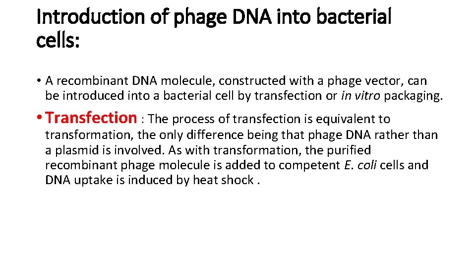 Introduction of phage DNA into bacterial cells: • A recombinant DNA molecule, constructed with