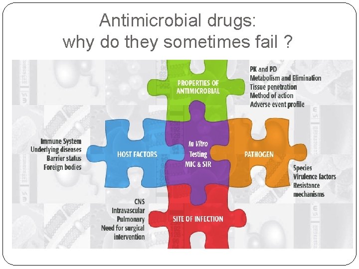 Antimicrobial drugs: why do they sometimes fail ? 
