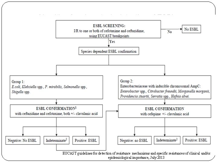 Algorithm for phenotypic detection of ESBLs EUCAST guidelines for detection of resistance mechanisms and
