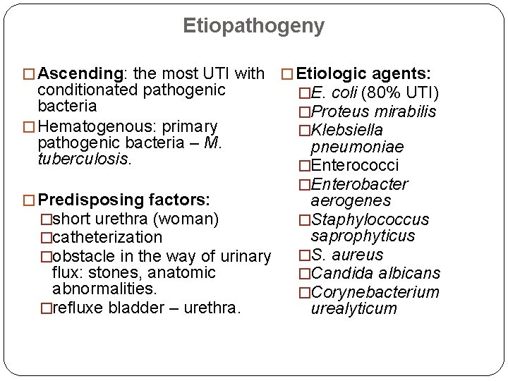 Etiopathogeny � Ascending: the most UTI with conditionated pathogenic bacteria � Hematogenous: primary pathogenic