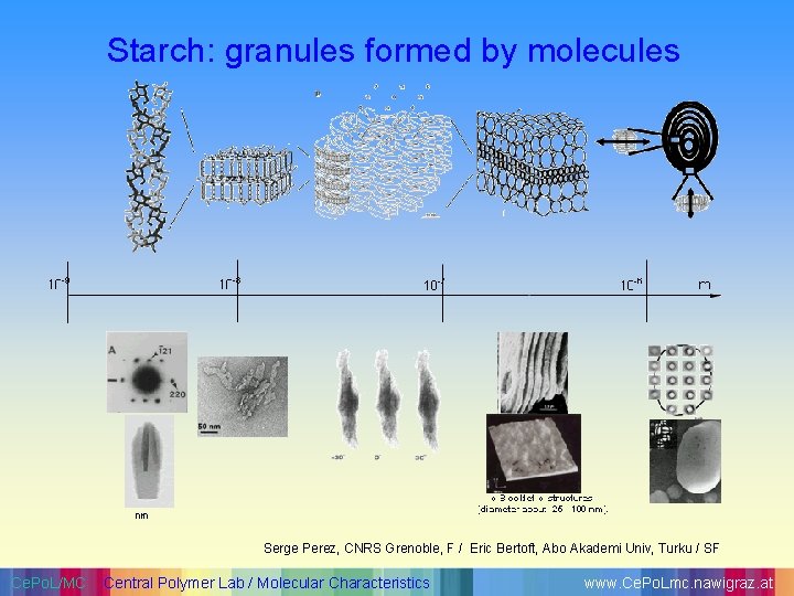 Starch: granules formed by molecules Serge Perez, CNRS Grenoble, F / Eric Bertoft, Abo