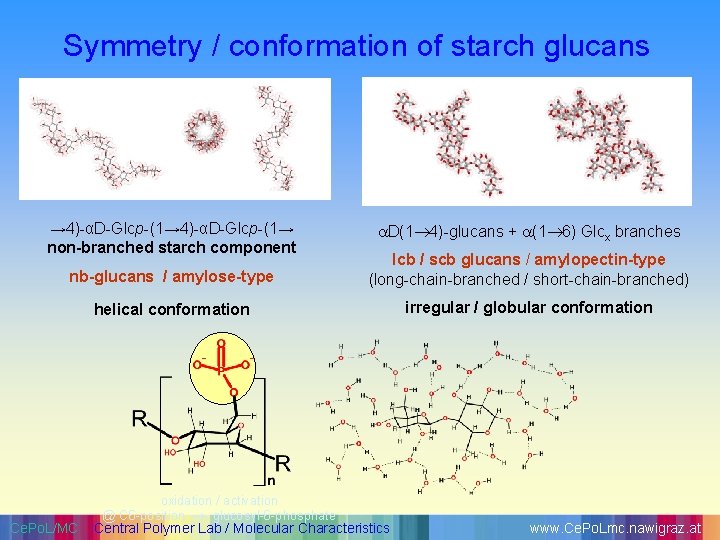 Symmetry / conformation of starch glucans → 4)-αD-Glcp-(1→ non-branched starch component D(1 4)-glucans +