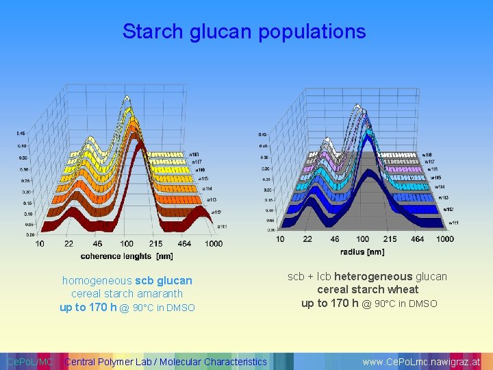 Starch glucan populations homogeneous scb glucan cereal starch amaranth up to 170 h @