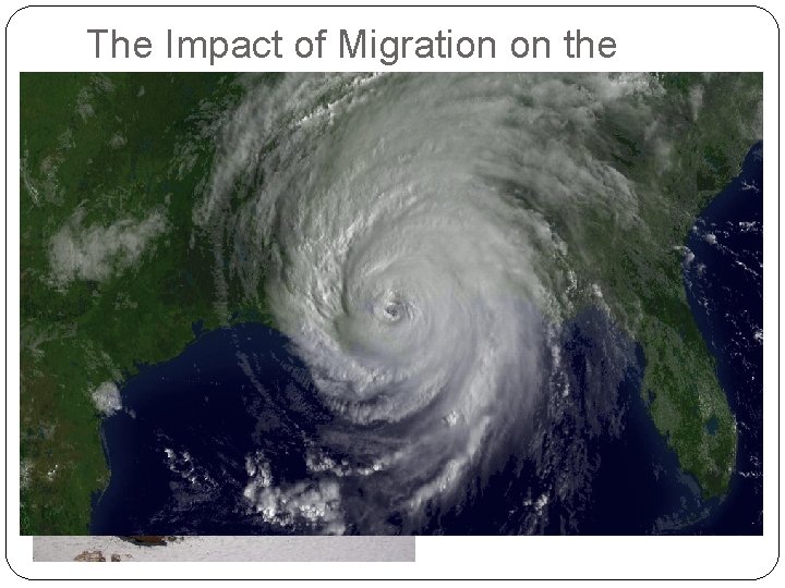 The Impact of Migration on the Nation All the advances in transportation allowed people The Impact of Migration on the Nation All the advances in transportation allowed people