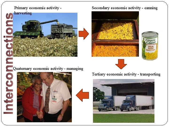 Primary economic activity - harvesting Secondary economic activity - canning Quaternary economic activity - Primary economic activity - harvesting Secondary economic activity - canning Quaternary economic activity -
