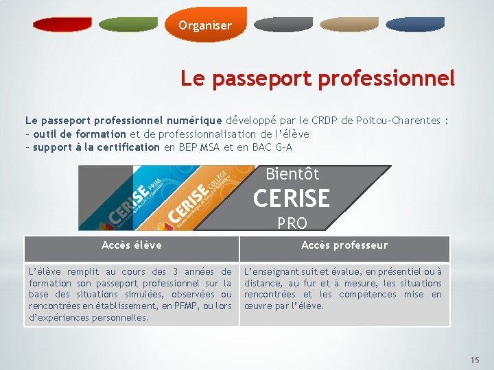 Organiser Le passeport professionnel numérique développé par le CRDP de Poitou-Charentes : - outil