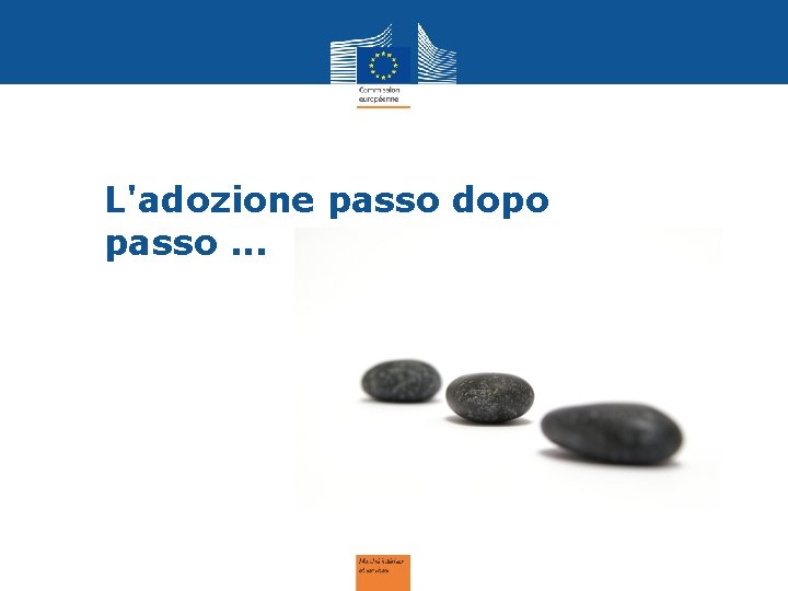 L'adozione passo dopo passo. . . 