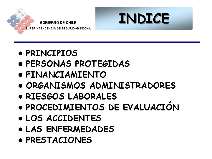 GOBIERNO DE CHILE SUPERINTENDENCIA DE SEGURIDAD SOCIAL l l l l l INDICE PRINCIPIOS