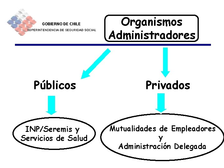 GOBIERNO DE CHILE SUPERINTENDENCIA DE SEGURIDAD SOCIAL Públicos INP/Seremis y Servicios de Salud Organismos