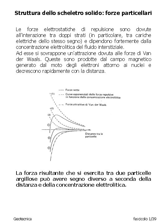 Struttura dello scheletro solido: forze particellari Le forze elettrostatiche di repulsione sono dovute all’interazione