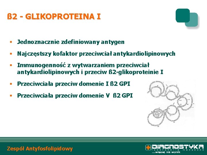 ß 2 - GLIKOPROTEINA I § Jednoznacznie zdefiniowany antygen § Najczęstszy kofaktor przeciwciał antykardiolipinowych