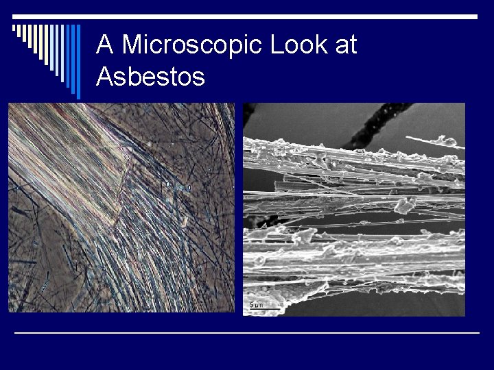 A Microscopic Look at Asbestos 