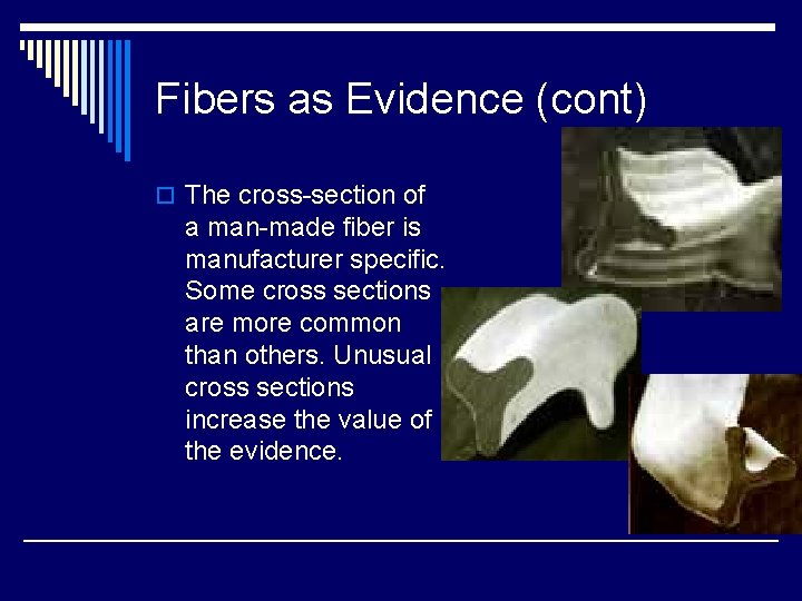 Fibers as Evidence (cont) o The cross-section of a man-made fiber is manufacturer specific.