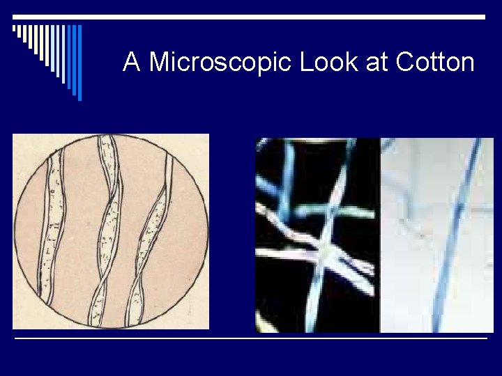 A Microscopic Look at Cotton 