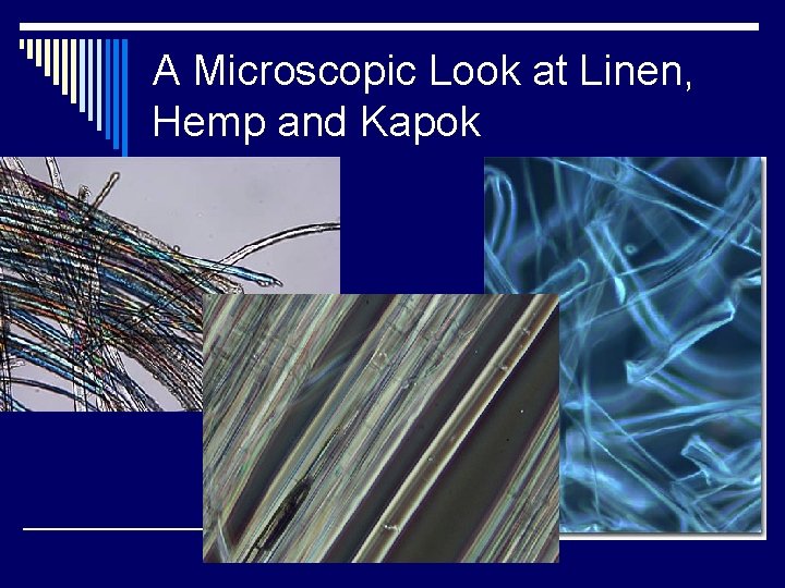 A Microscopic Look at Linen, Hemp and Kapok 