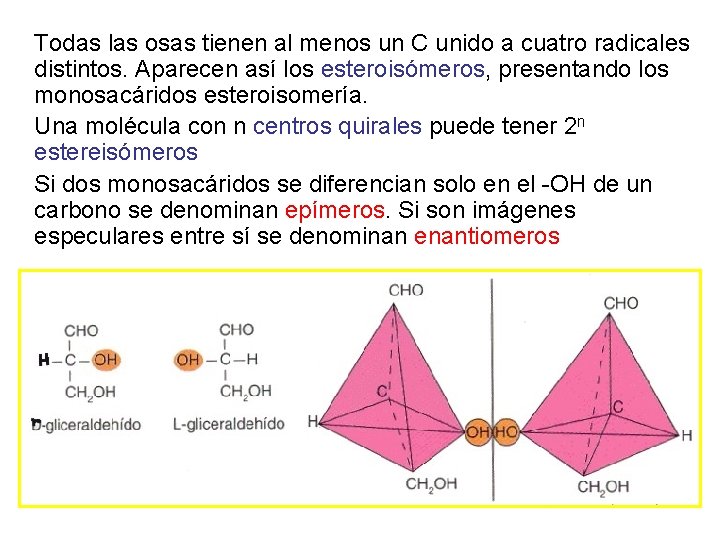 Todas las osas tienen al menos un C unido a cuatro radicales distintos. Aparecen