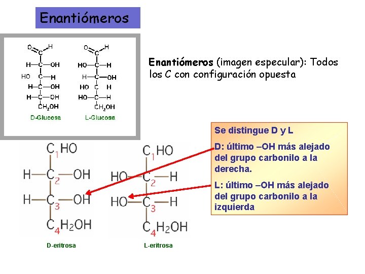 Enantiómeros (imagen especular): Todos los C configuración opuesta Se distingue D y L D: