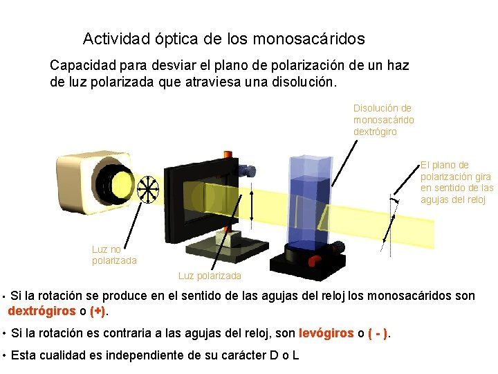 Actividad óptica de los monosacáridos Capacidad para desviar el plano de polarización de un