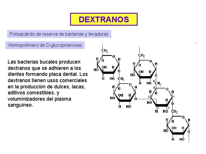 DEXTRANOS Polisacárido de reserva de bacterias y levaduras Homopolímero de D-glucopiranosas Las bacterias bucales