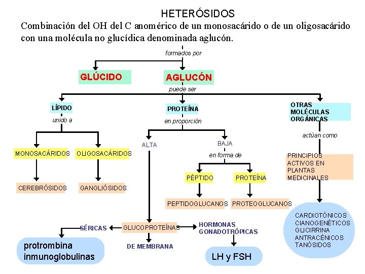 HETERÓSIDOS Combinación del OH del C anomérico de un monosacárido o de un oligosacárido