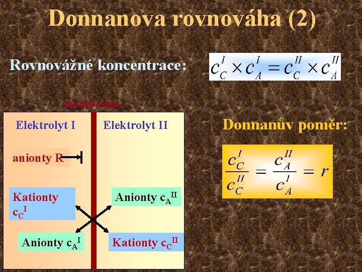 Donnanova rovnováha (2) Rovnovážné koncentrace: membrána Elektrolyt II anionty RKationty c CI Anionty c.