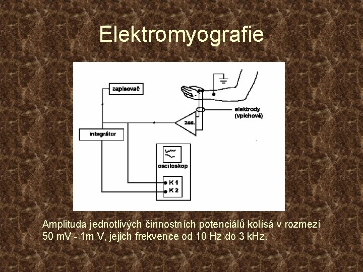 Elektromyografie Amplituda jednotlivých činnostních potenciálů kolísá v rozmezí 50 m. V - 1 m