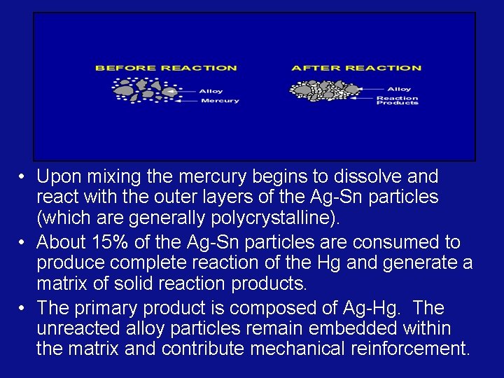  • Upon mixing the mercury begins to dissolve and react with the outer